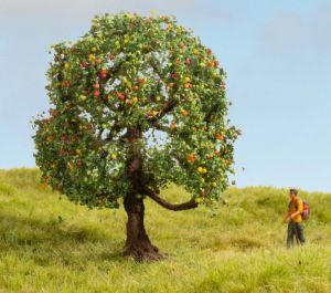 NOC20145 - Arbre de 8 cm de hauteur – Pommier